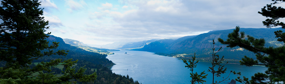 About Syncline