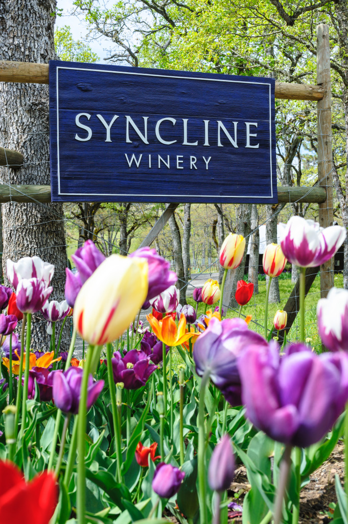Spring at the Winery by David Lloyd